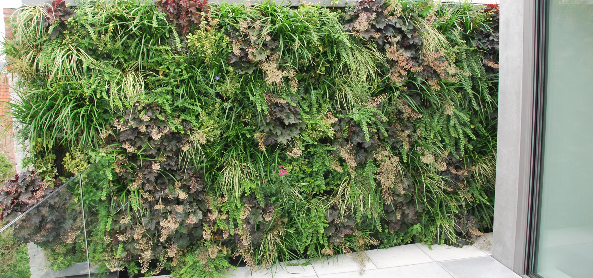 Gartenhof K�sters - Outdoor-Wandbegr�nungen