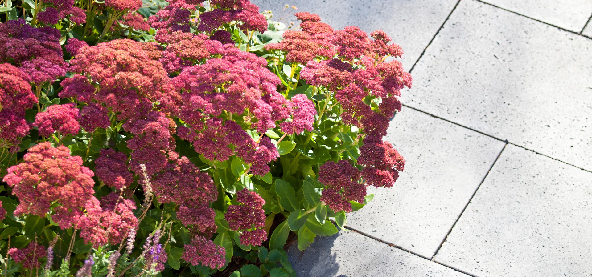 Gartenhof Ksters - Privatgarten Dsseldorf VI