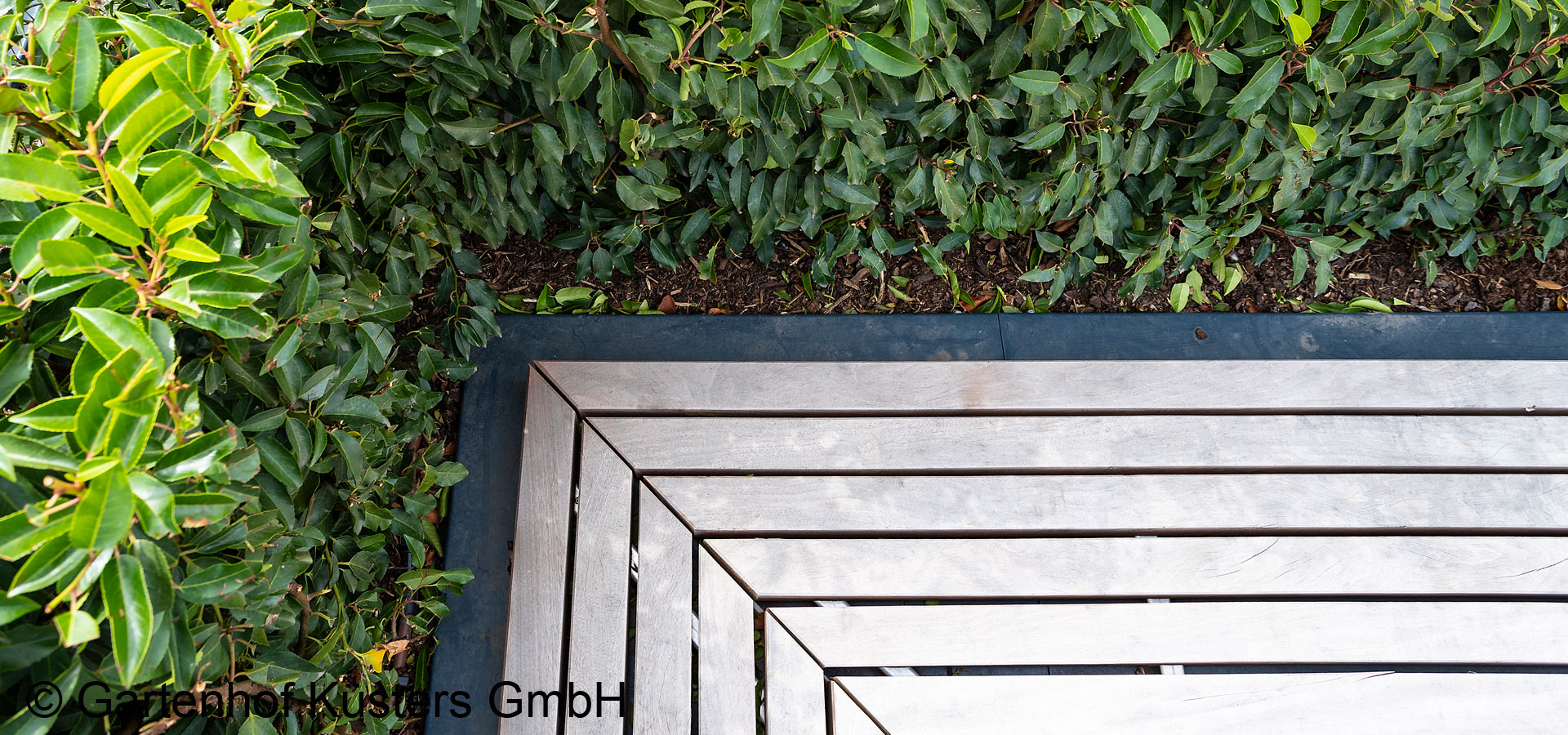 Gartenhof K�sters - Dachbegr�nung K�ln