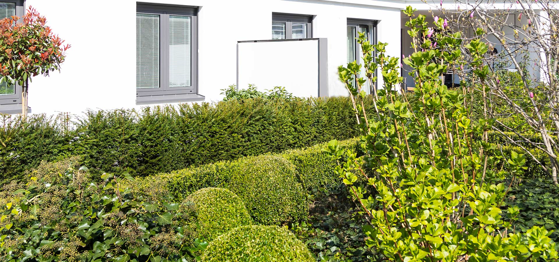 Gartenhof K�sters - D�sseldorf Magnoliengarten