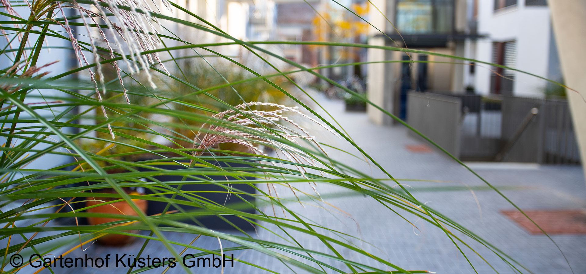 Gartenhof K�sters - K�ln Halle 17